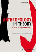 Anthropology in Theory: Issues in Epistemology - book cover