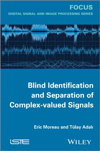 Blind Identification and Separation of Complex-valued Signals - book cover