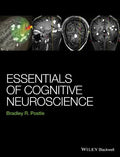 Essentials of Cognitive Neuroscience - book cover