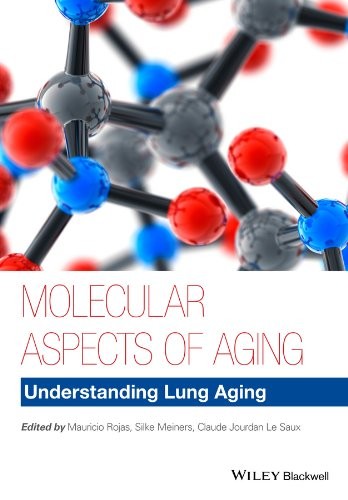 Molecular Aspects of Aging : Understanding Lung Aging - book cover