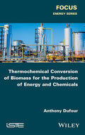 Thermochemical conversion of biomass for the production of energy and chemicals - book cover