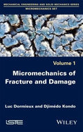 Micromechanics of fracture and damage - book cover