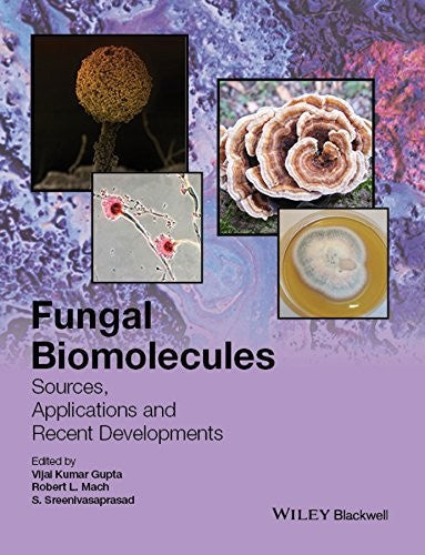 Fungal Biomolecules: Sources, Applications and Recent Developments - book cover