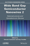 Wide Band Gap Semiconductor Nanowires for Optical Devices - book cover