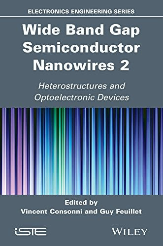Wide Band Gap Semiconductor Nanowires for Optical Devices - book cover